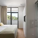 Istra-hvar Luxury Penthouse * Rabac